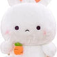 Plush Rabbit (22cm)