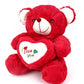 Rose Soft Teddy Bear